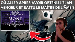 HOLLOW KNIGHT  OU ALLER APRÈS AVOIR VAINCU LE MAITRE DE LÂME ET OBTENU LÉLAN VENGEUR [upl. by Nanny]