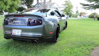 Shelby 1000 Start up and Idle Pure Sound [upl. by Sarge]