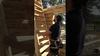 Installing log ladder  Meadowlark DIY Log Cabin Series [upl. by Cox]