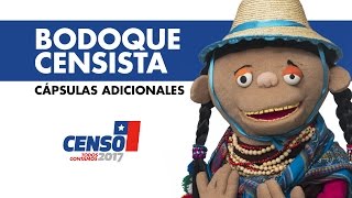 Censo 2017  Bodoque censista  Capsulas adicionales [upl. by Lhok]