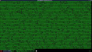 08 Doom Hexedit Strings from the Shell with Hexdump Sed xxd Prboom Binary Executable Linux Tutorial [upl. by Manella]