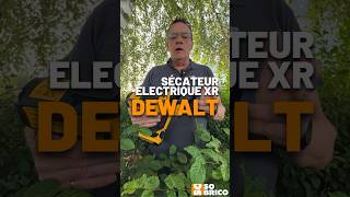 Zoom sur le sécateur électrique XR DeWalt sur SoBrico ☀️ [upl. by Oibirot]