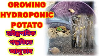 HYDROPONIC POTATO GROWING KRATKY METHOD [upl. by Dyson]