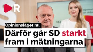 Rekordhöga siffror för SD i ny SVTmätning [upl. by Ripleigh]