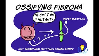 Cementoossifying fibroma  Controversies Clinical features Radiology and Histopathology [upl. by Kus]