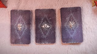 ðŸ’ŒðŸ’•CANALIZACIÃ“NðŸŽ‰ðŸ‘Œ Â¿COMO SE SIENTE Â¿QUE HARÃðŸ¥° tarot interactivo hoy  tarot amor [upl. by Tucker]