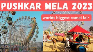 PUSHKAR MELA 2023 BIGGEST CAMEL FAIR IN WORLD Travelwithbonniepushkarmela2023 [upl. by Ailema]