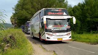 famget2022HR konvoi PO Haryanto ada SUNBREAKER WHITE ROSESBASUDEWAPARADISE TSALJU [upl. by Neyr]