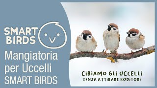 SMART BIRDS MANGIATORIA PER UCCELLI by SWISSINNO [upl. by Ayotas]