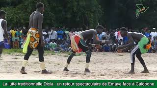 La lutte traditionnelle Diola  un retour spectaculaire au village de Emaye face à Calobone [upl. by Yrret761]