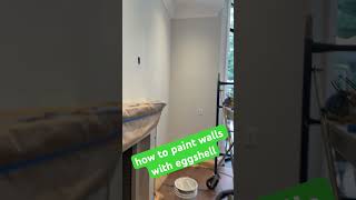 how to paint walls with eggshell [upl. by Hizar944]