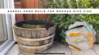 Barrel Pond Build for Medaka Japanese Rice Fish  ASMR Relaxing [upl. by Whitson614]