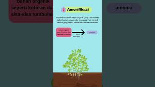 Cara Mudah Mengingat Daur Nitrogen Biologi [upl. by Anne489]