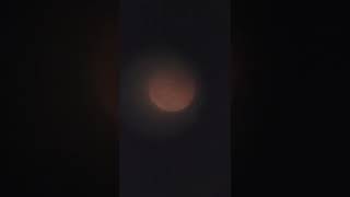 Blood Moon 25mm Eyepiece [upl. by Marashio]