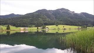 Ausblick beim Karpfenfischen am Weissensee in Kärnten Gatschacher Becken [upl. by Ellessig310]