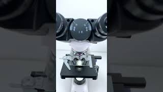 フィンダを400倍に拡大したのは本当にクールだ！microscope science [upl. by Elyl]