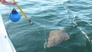 Ketchikan Alaska Halibut Fishing in at Chinook Shores Lodge [upl. by Ximenez]