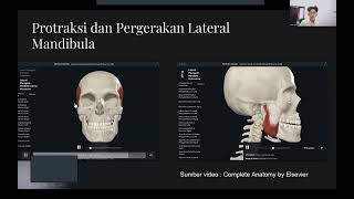 Anatomi Mandibula dan Musculusnya Regio Antebrachium Musculus dan nervusnya Art Genu dan Femur [upl. by Frost479]