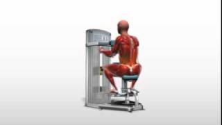 Exercise Videos Torso Rotation  Machine [upl. by Namso]