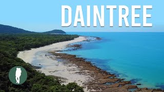 Daintree Rainforest Tropical North Queensland Australia Nature [upl. by Silsby]