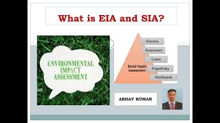 What is EIA and SIA [upl. by Zorah]