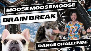 quotMOOSE MOOSE MOOSEquot  Kids Dance Challenge  Brain Break  Super Sing Along Time  Mr Darling [upl. by Graehl]