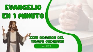 🎙XXVII Domingo del Tiempo Ordinario📖Evangelio En 1 Minuto [upl. by Sanalda30]