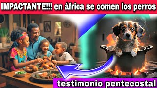 IMPACTANTE TESTIMONIO  EN ÁFRICA SE COMEN LOS PERROS  VICENTE ARANGO [upl. by Rubetta129]