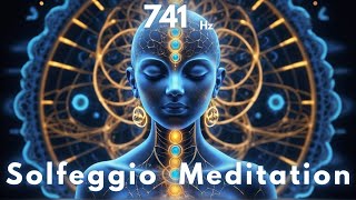 741 Hz Removes Toxins and Negativity Experience Pure Healing [upl. by Hewitt812]