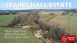 Spains Hall What does five years of beaver activity look like [upl. by Northrop635]