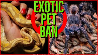 Lacey Act EXOTIC PET BAN Moves to the SENATE Updates amp Responses [upl. by Howlend]