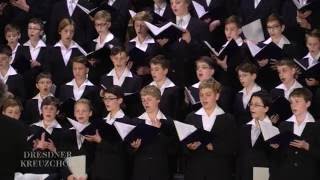 18 Juni quotDeus noster refugiumquot  Dresdner Kreuzchor in der Andreaskirche Eisleben [upl. by Song863]