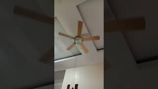 Westinghouse ceiling fan startup [upl. by Chubb]