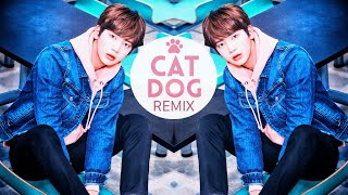 TXT  CAT amp DOG ✬REMIX✬ [upl. by Blumenfeld]