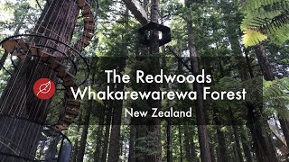 The Redwoods Whakarewarewa Forest  New Zealand North Island Nature Hike  2019 [upl. by Penthea]