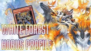 YUGIOH White Forest Horus Deck Profile NEW FORMAT [upl. by Tihom493]