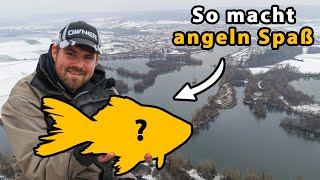 Erfolgreich Feedern im Winter ❄️  Mit diesem Fisch haben wir nicht gerechnet 😍 [upl. by Enilegnave]