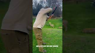 Stickbow setup53DamonHowatt Hi Speed black eagle shafts MagnusBroadheads stickbow [upl. by Trainer]