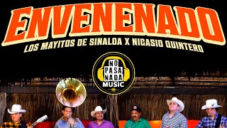 Los Mayitos de Sinaloa ft Nicasio Quintero  Envenenado En vivo [upl. by Dleifniw]