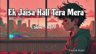 Ek Jaisa Hall Tera Mera  Lofi songs  Arijit Singh  New Lofi song 2024  Hindi Lofi songs [upl. by Petrie]