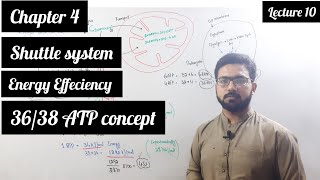 3638 ATP conceptShuttle systemEnergy efficiencyDetail and Easy concept [upl. by Jeanna]