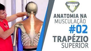 Encolhimento de Ombros  Trapézio Superior  Anatomia na Musculação 2 [upl. by Arno956]