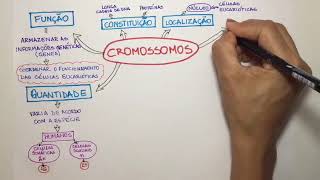 Cromossomos [upl. by Filberto]