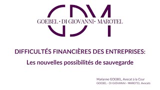 Difficultés financières des entreprises  les nouvelles possibilités de sauvegarde 12122023 [upl. by Jaine]