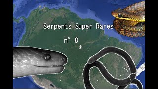 Serpents Super Rares n°8  Les serpents du monde perdu [upl. by Lladnek]