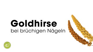 Goldhirse bei brüchigen Nägeln [upl. by Riek]