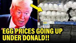 Trump LIES on Egg Prices BLOW UP in HIS FACE [upl. by Josephson]