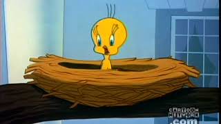 I Tawt I Taw a Puddy Tat Tweety Compilation [upl. by Seigel]