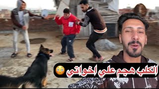 بيلعبو بي الكلب هجم عليهم 😳 [upl. by Ahseik547]