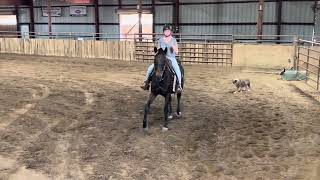 Kaitlynn RRP 2025 App Ranch Work [upl. by Ainadi]